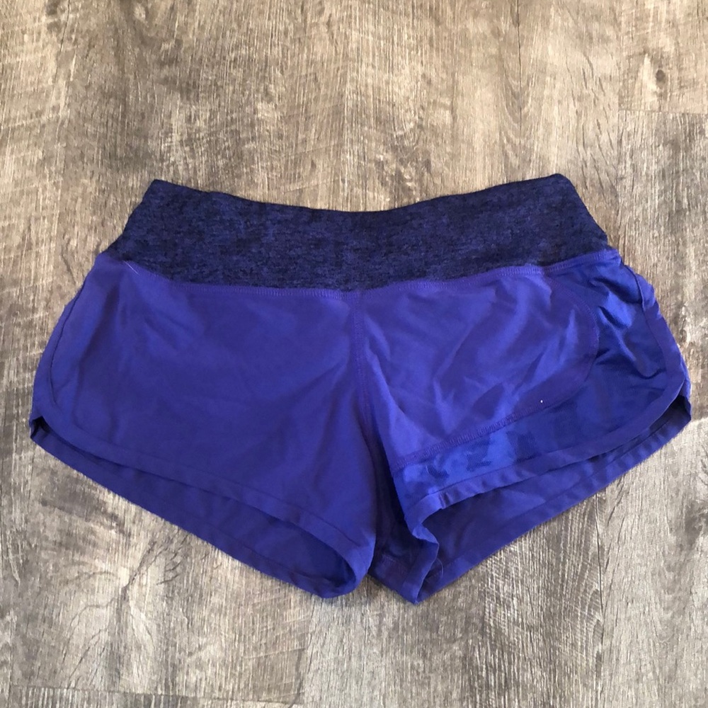 Rabbit Catch Me If You Can shorts
